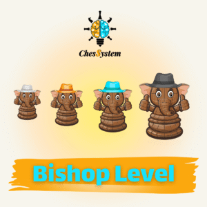 Bishop Level